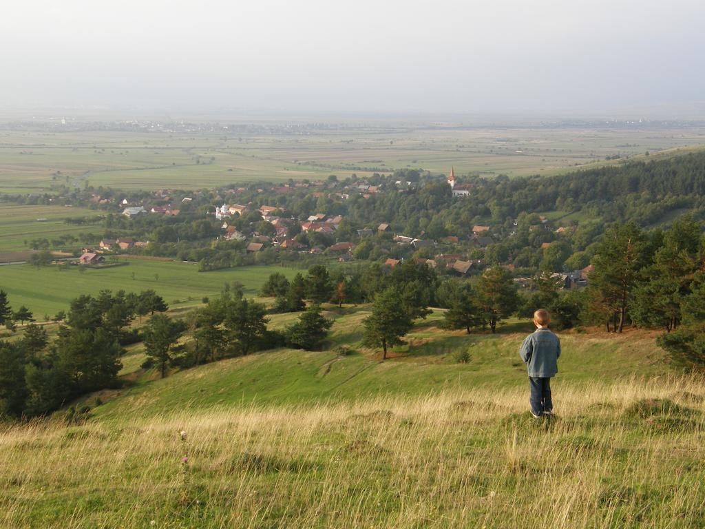 Mokus Panzio Bicfălău Bagian luar foto