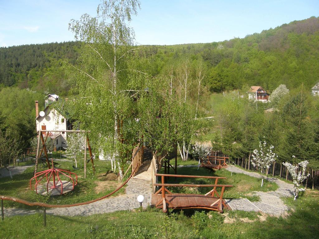 Mokus Panzio Bicfălău Bagian luar foto