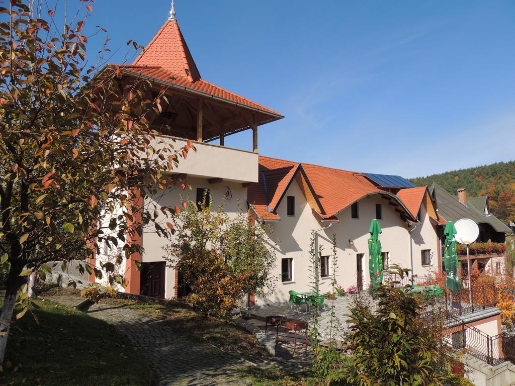 Mokus Panzio Bicfălău Bagian luar foto